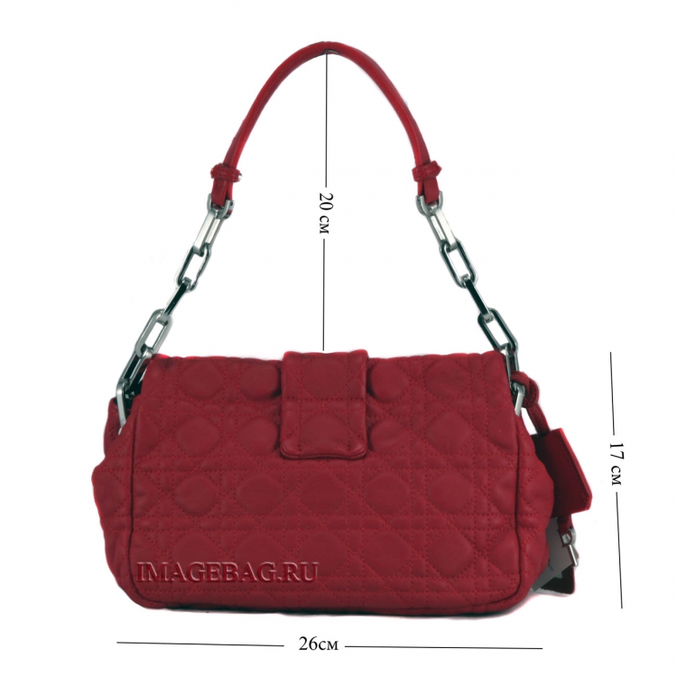 Сумка женская Christian Dior 28021