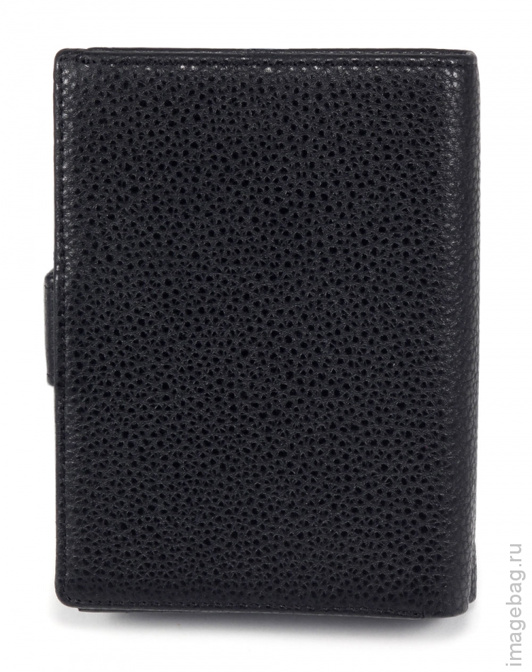 Paul Rayner 208-3104 обложка для автодокументов паспорта_8581